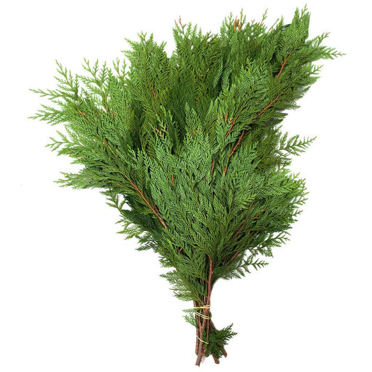 Ontario Cedar Bundle