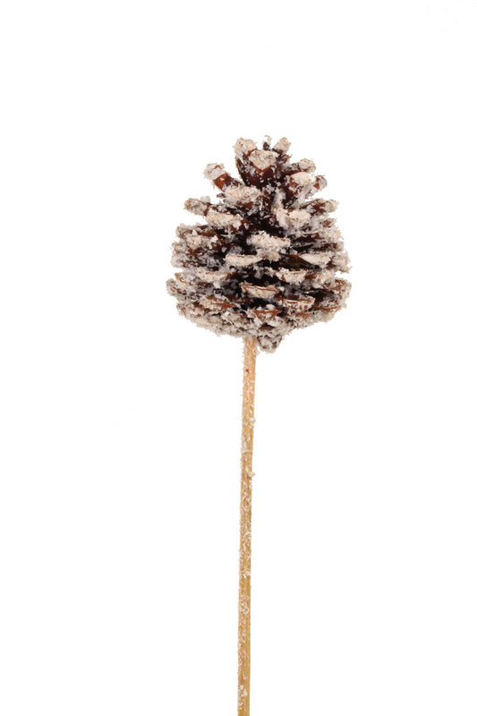 Snow Pinecone Stem