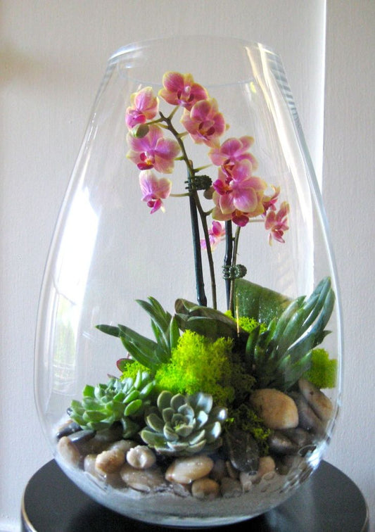 Terrarium Workshop | Thursday, March 6th