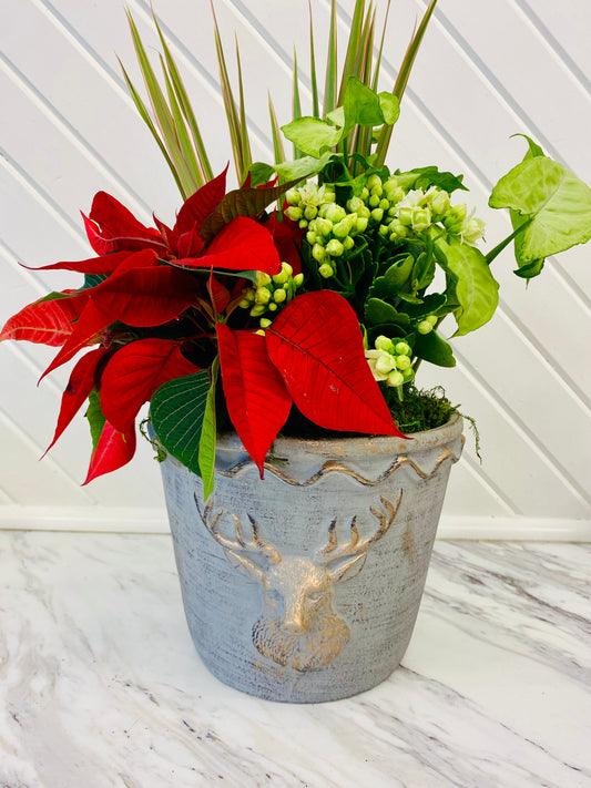 Elliot Buckhead Holiday Arrangement