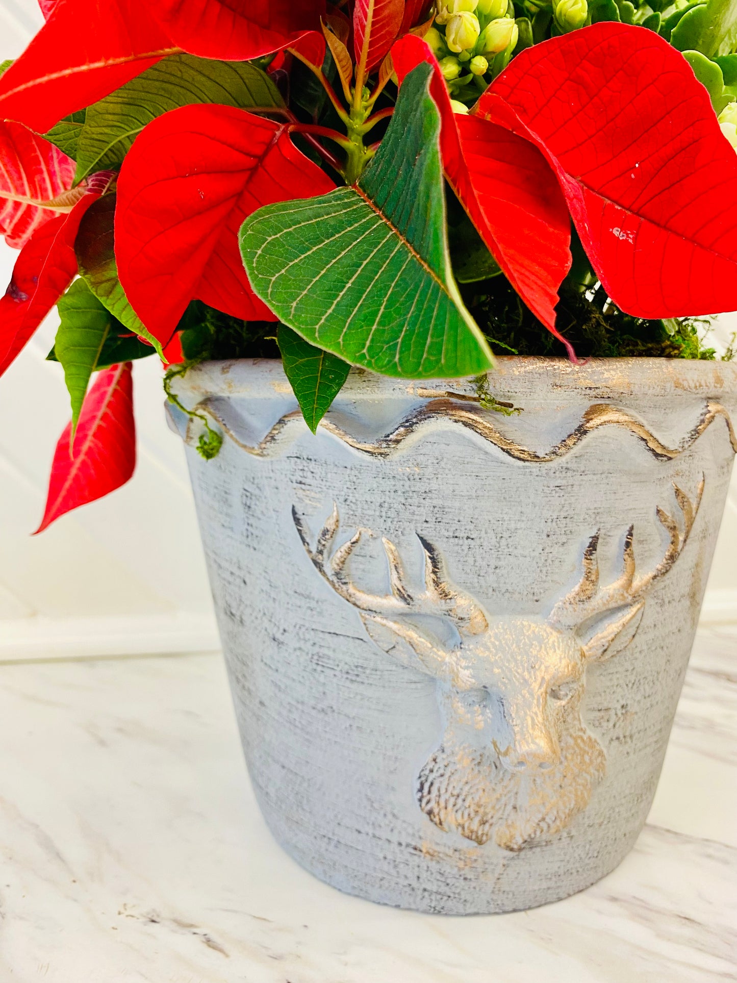 Elliot Buckhead Holiday Arrangement