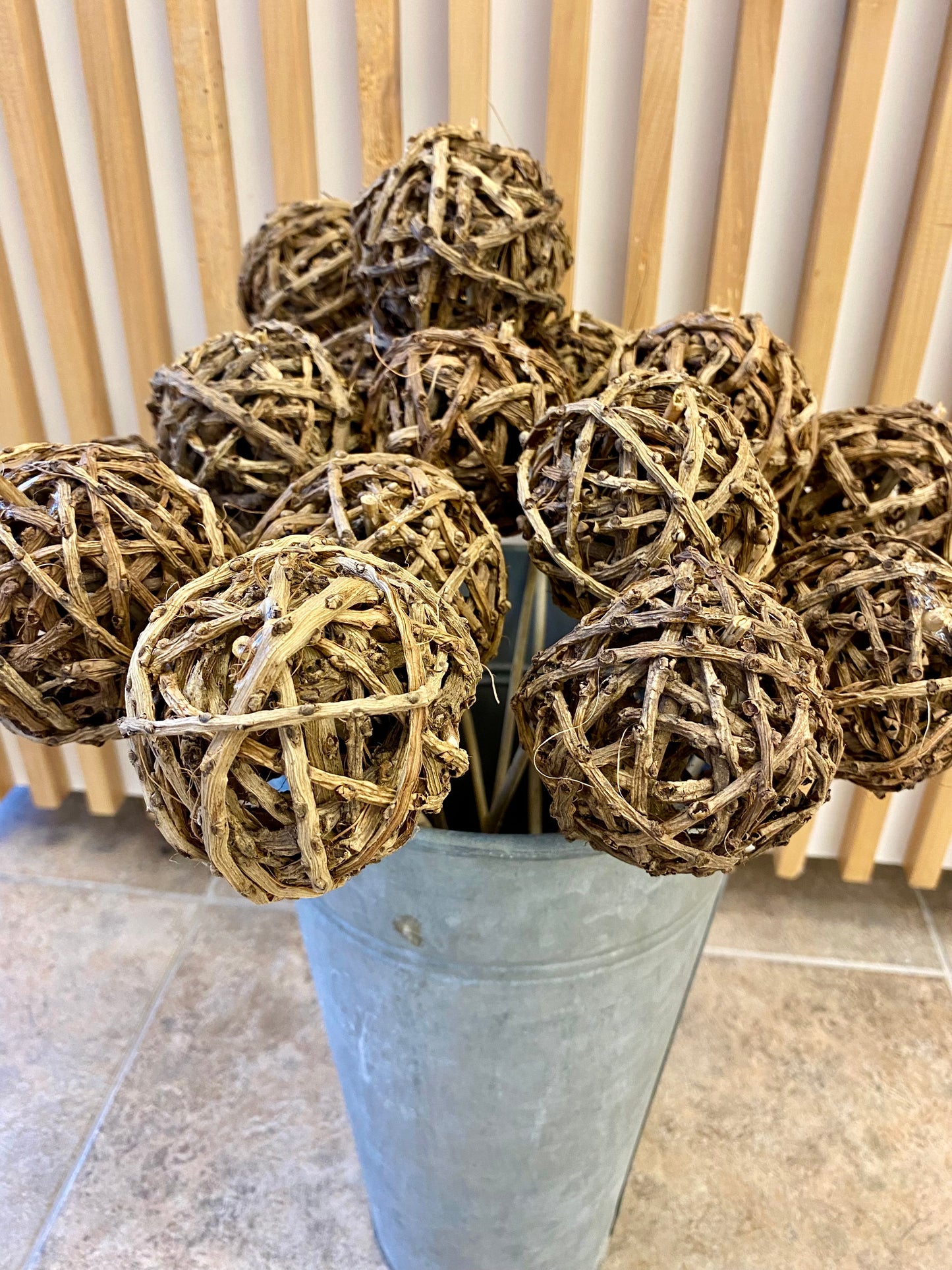 Root Ball Natural