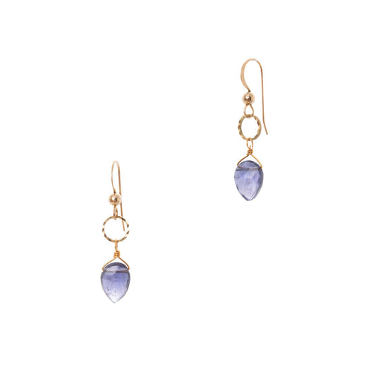 Bia Earrings: Iolite