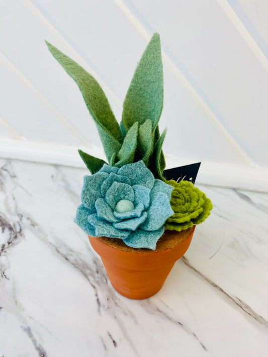 Felt Succulent