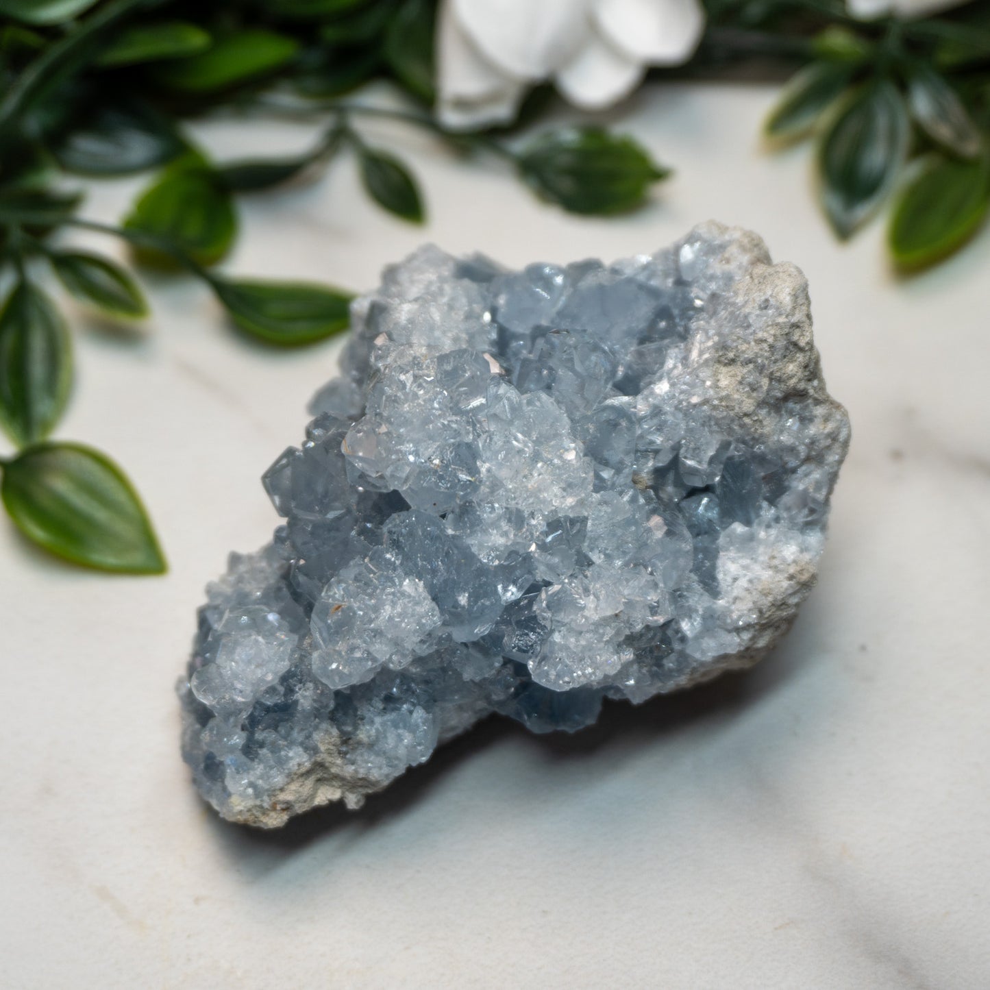 Celestite Geode