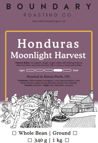 Honduras | Moonlight Harvest Coffee