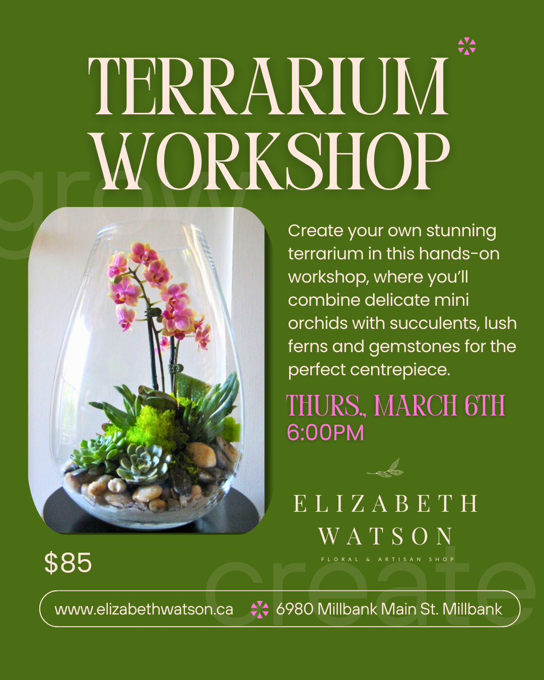 Terrarium Workshop | Thursday, March 6th